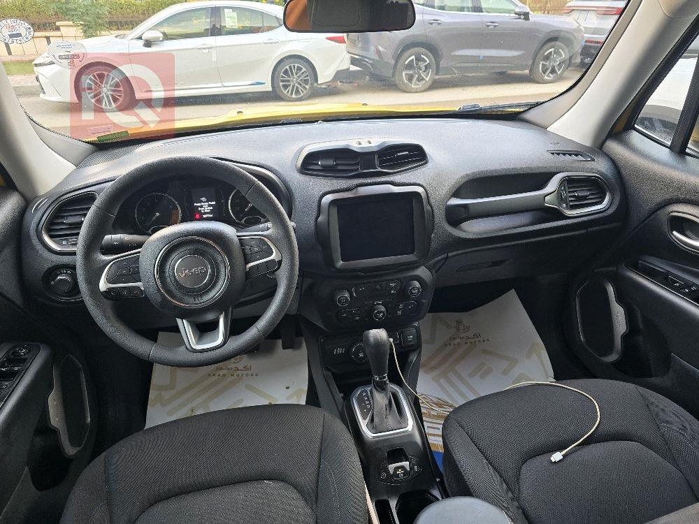 جيب رينيجيد